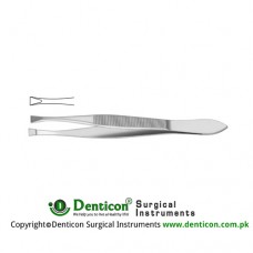 Littauer Cilia Forcep Smooth Jaw Stainless Steel, 8.5 cm - 3 1/4"